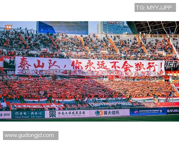 鲁能00后潜力足球新星崛起 聚焦未来中超新力量